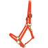 Country Pride Beta Halter